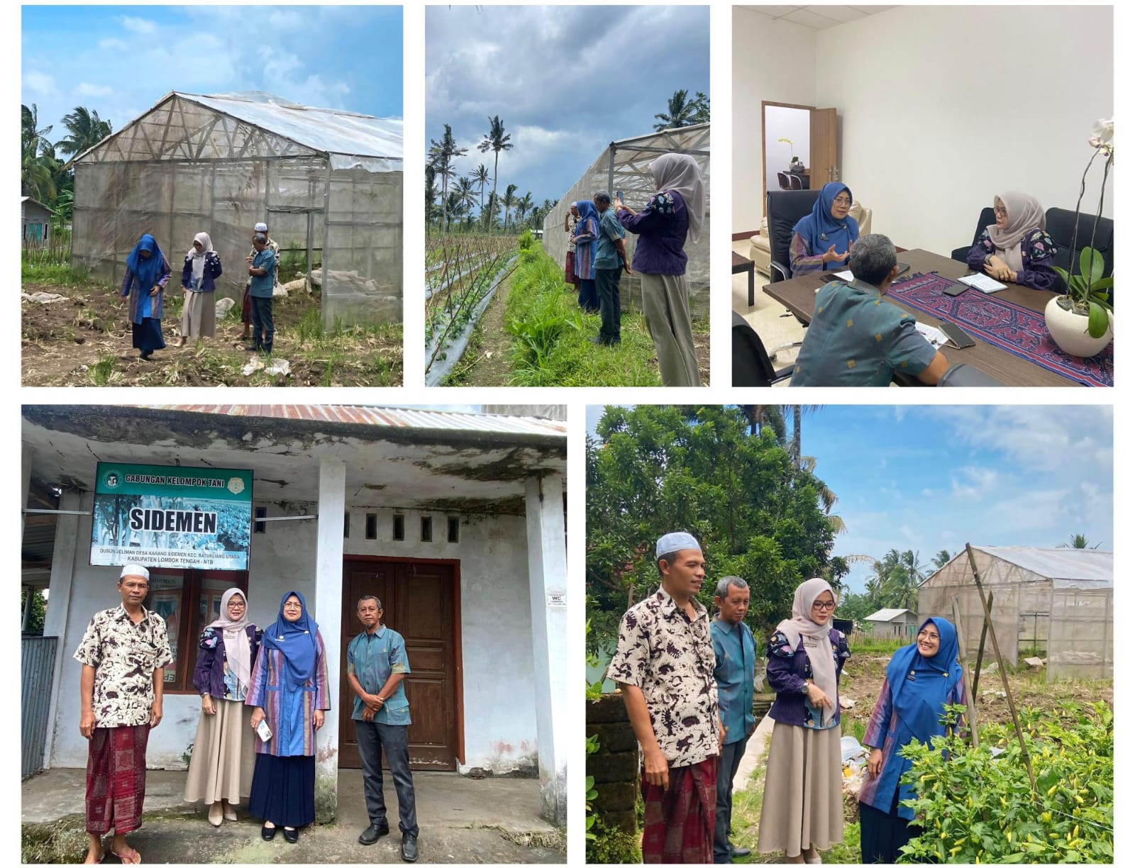 Peninjauan Sentra Produksi Cabai di Lombok Tengah, Pemprov NTB Cari Solusi Atasi Kenaikan Harga