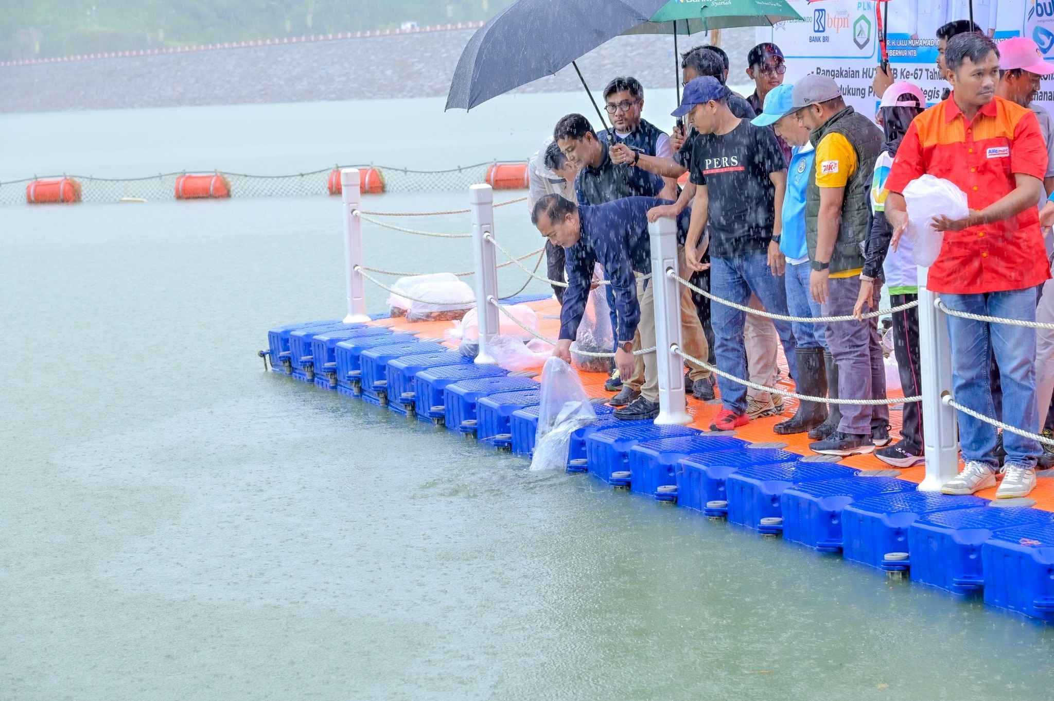Peringati HUT NTB, Pemprov dan FWEB Tebar 1 Juta Benih Ikan