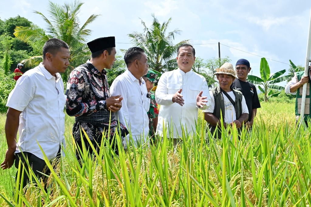 Gubernur NTB Dorong Revitalisasi Irigasi Lama untuk Tingkatkan Produktivitas Pertanian