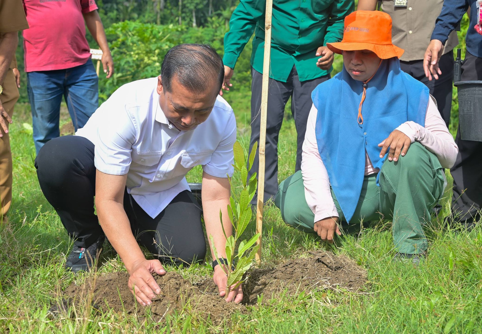 Gerakan Tanam 500 Pohon di Meninting, Gubernur NTB Ingatkan Dampak Ekonomi Kerusakan Hutan
