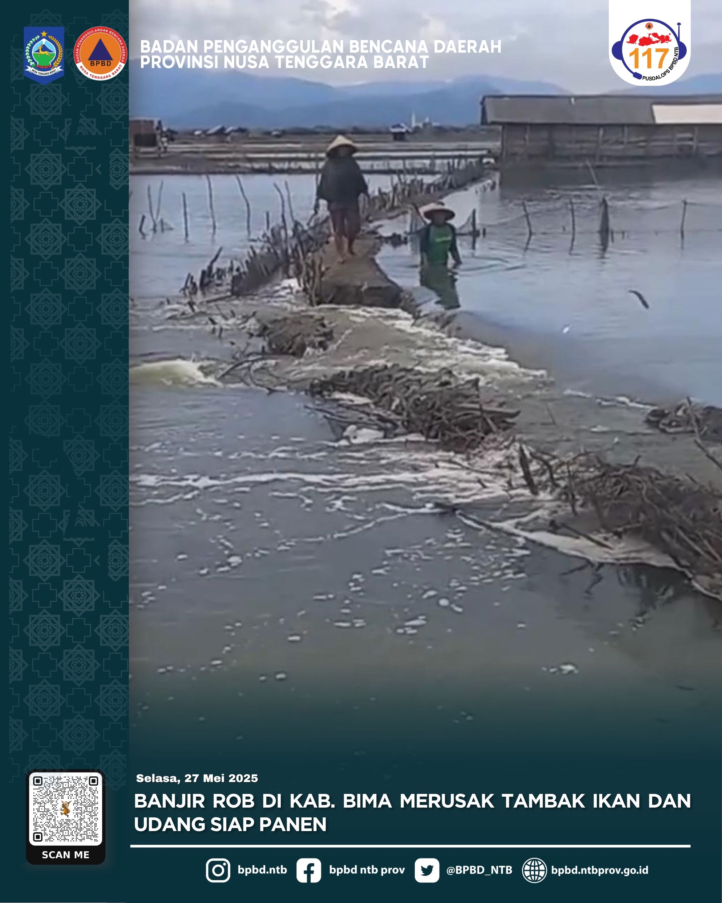 Banjir Rob di Kab. Bima Merusak Tambak Udang dan Ikan Siap Panen