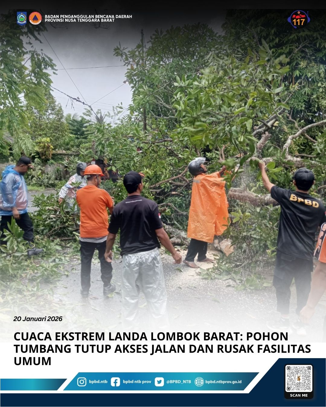 Cuaca Ekstrem Landa Lombok Barat: Pohon Tumbang Tutup Akses Jalan dan Rusak Fasilitas Umum