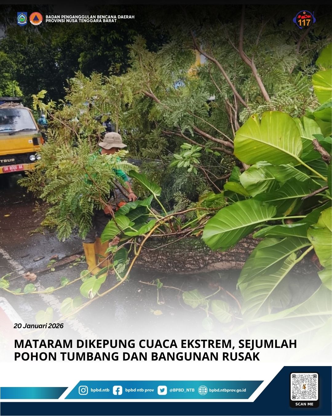 Mataram Dikepung Cuaca Ekstrem, Sejumlah Pohon Tumbang dan Bangunan Rusak