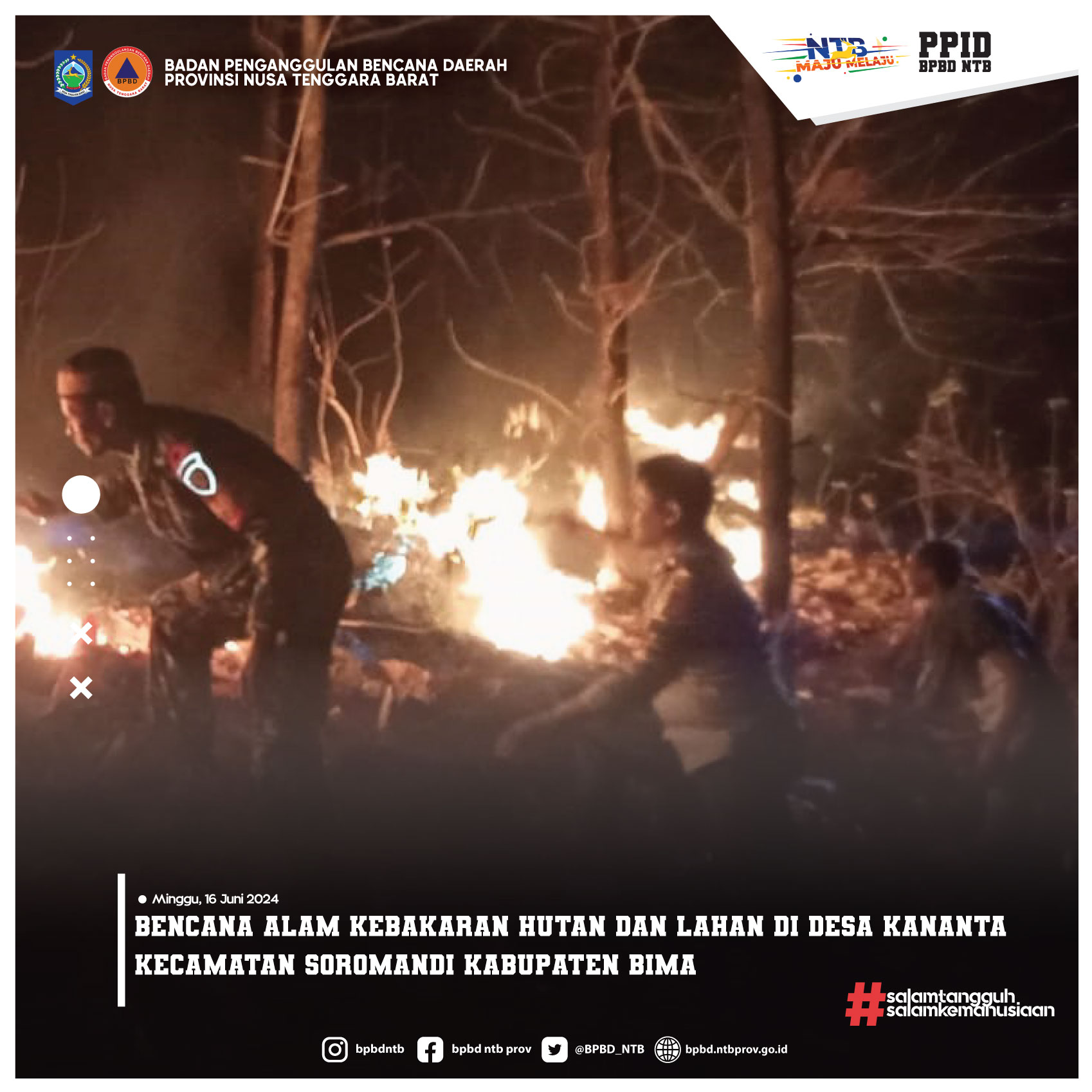 Bencana Alam Kebakaran Hutan dan Lahan di Kabupaten Bima (Minggu, 16 Juni 2024)