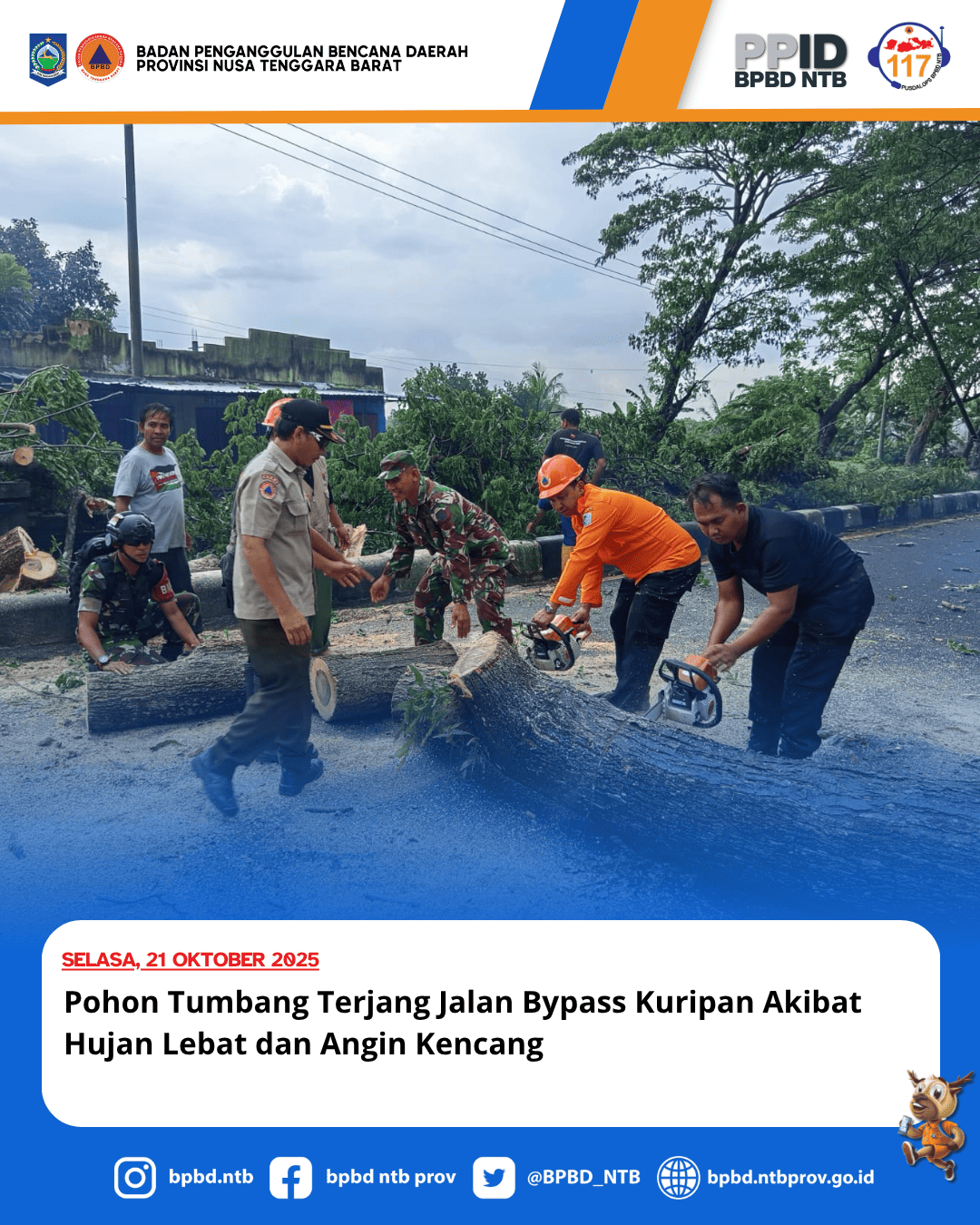 Pohon Tumbang Terjang Jalan Bypass Kuripan Akibat Hujan Lebat dan Angin Kencang
