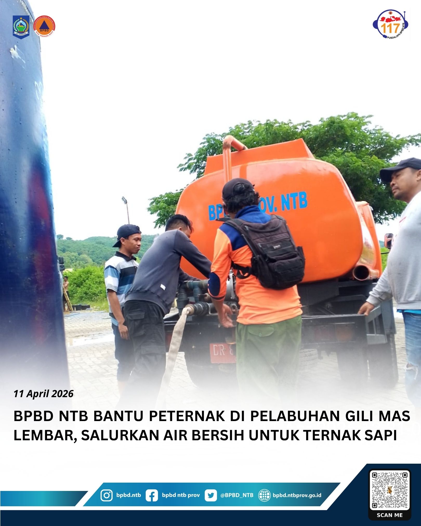 BPBD NTB Bantu Peternak di Pelabuhan Gili Mas Lembar, Salurkan Air Bersih untuk Ternak Sapi