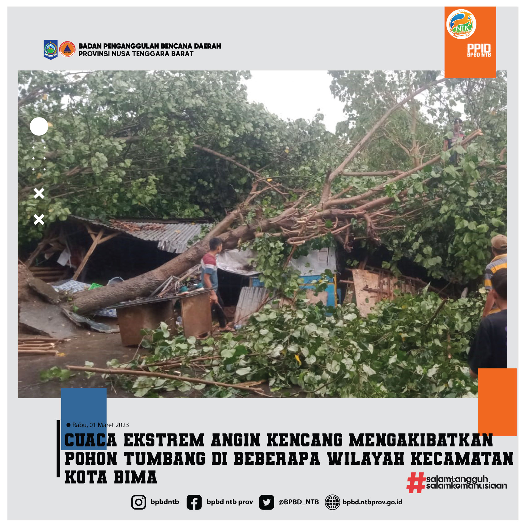 Cuaca Ekstrem Angin Kencang Mengakibatkan Pohon Tumbang di Beberapa Wilayah Kecamatan Kota Bima (Rabu, 01 Maret 2023)