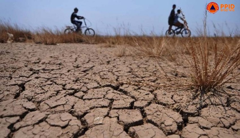 Langkah Cepat Pemprov Tanggulangi Kekeringan di NTB
