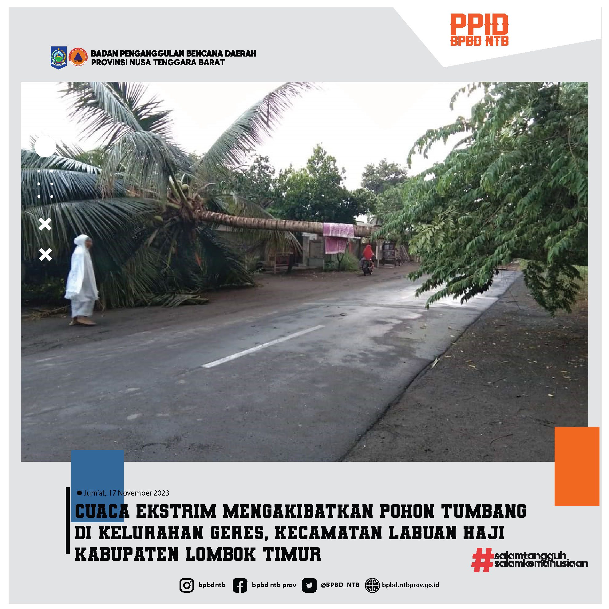 Bencana Cuaca Ekstrim Mengakibatkan Pohon Tumbang di Kelurahan Geres, Kecamatan Labuan Haji, Kabupaten Lombok Timur (Jum'at, 17 November 2023)