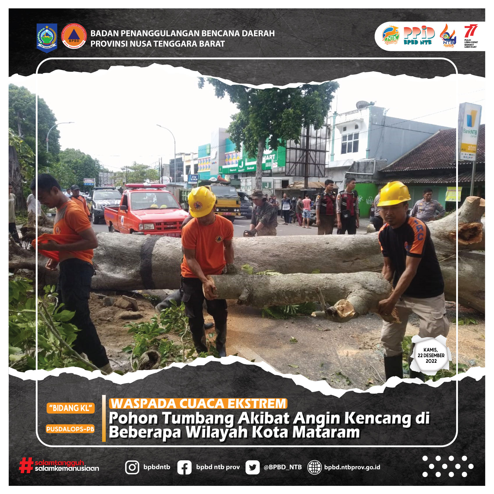 Pohon Tumbang Akibat Angin Kencang di Beberapa Wilayah Kota Mataram (Kamis, 22 Desember 2022)