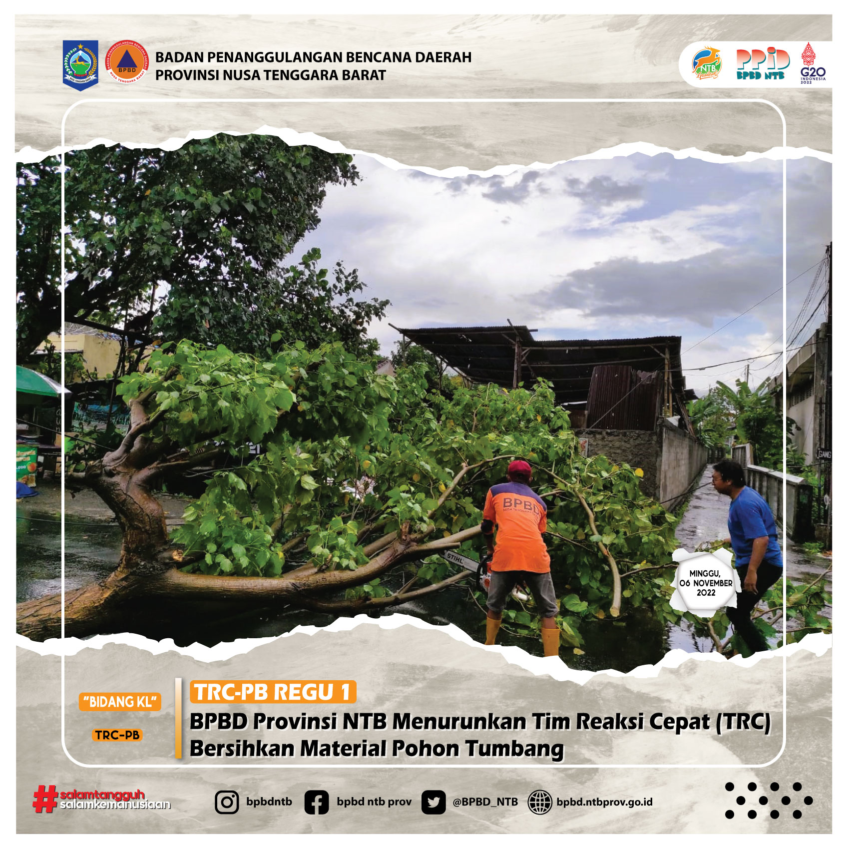 BPBD Provinsi NTB Menurunkan Tim Reaksi Cepat (TRC) Bersihkan Material Pohon Tumbang (Minggu, 06 November 2022)