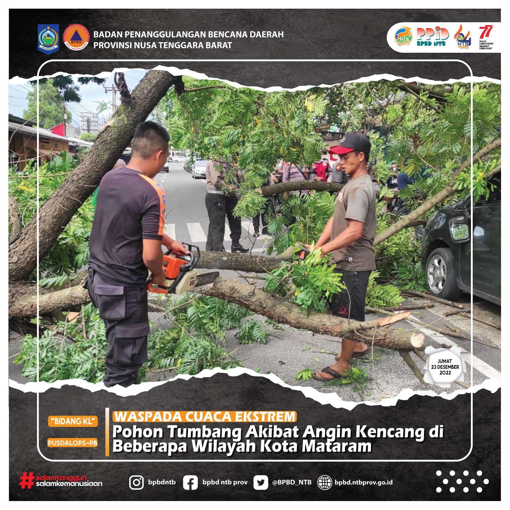 Pohon Tumbang Akibat Angin Kencang di Beberapa Wilayah Kota Mataram (Jumat, 23 Desember 2022)