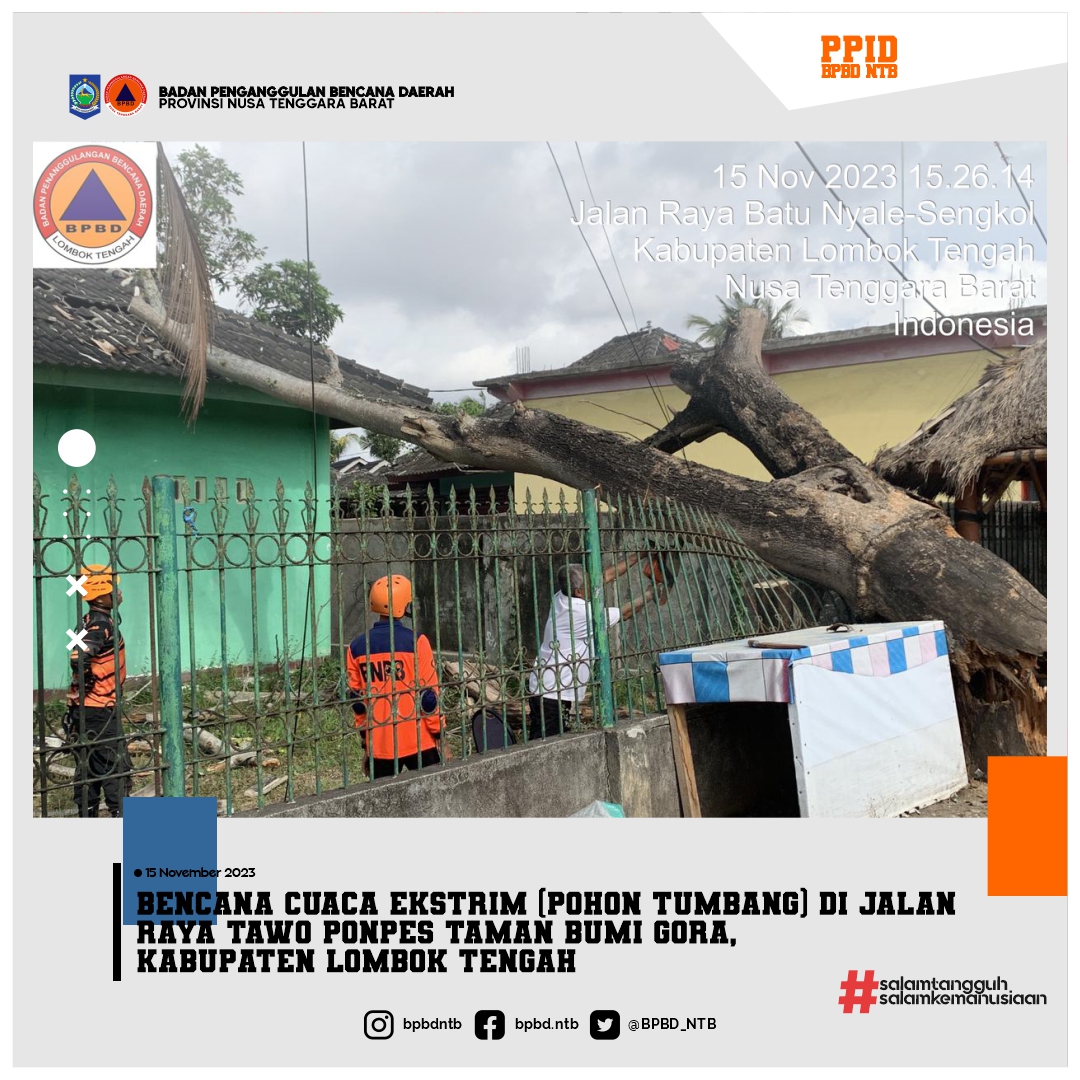 Bencana Cuaca Ekstrim (Pohon Tumbang) di Jalan Raya Tawo Ponpes taman bumi gora, Kabupaten Lombok Tengah