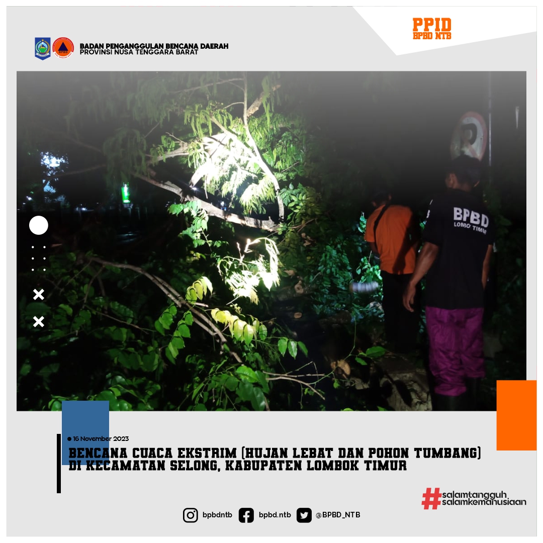 Bencana Cuaca Ekstrim (Hujan lebat dan pohon Tumbang) di Kecamatan Selong, Kabupaten Lombok Timur