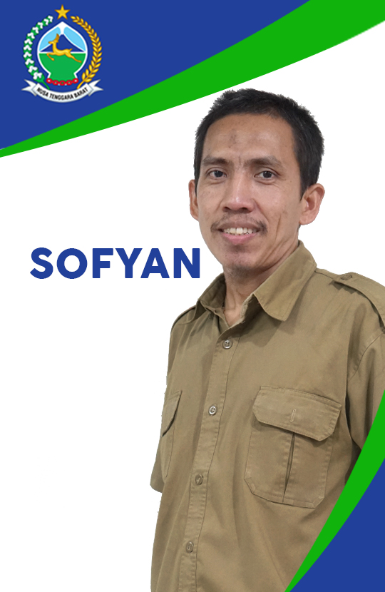 SOFIAN HADI, S. Kom