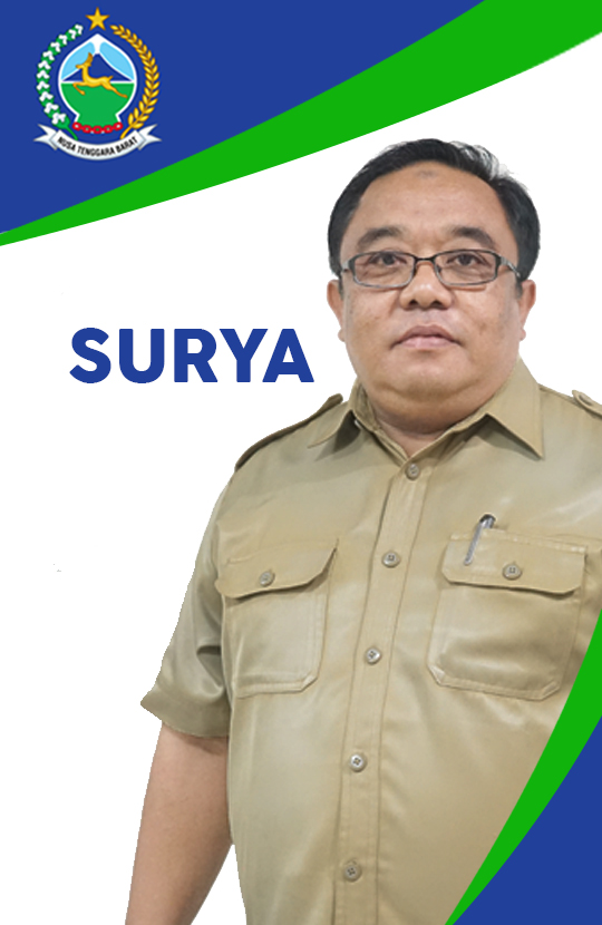 LALU SURYANATA, SE, MM