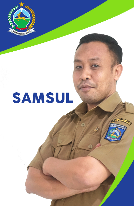 M. SYAMSUL HADI, SE