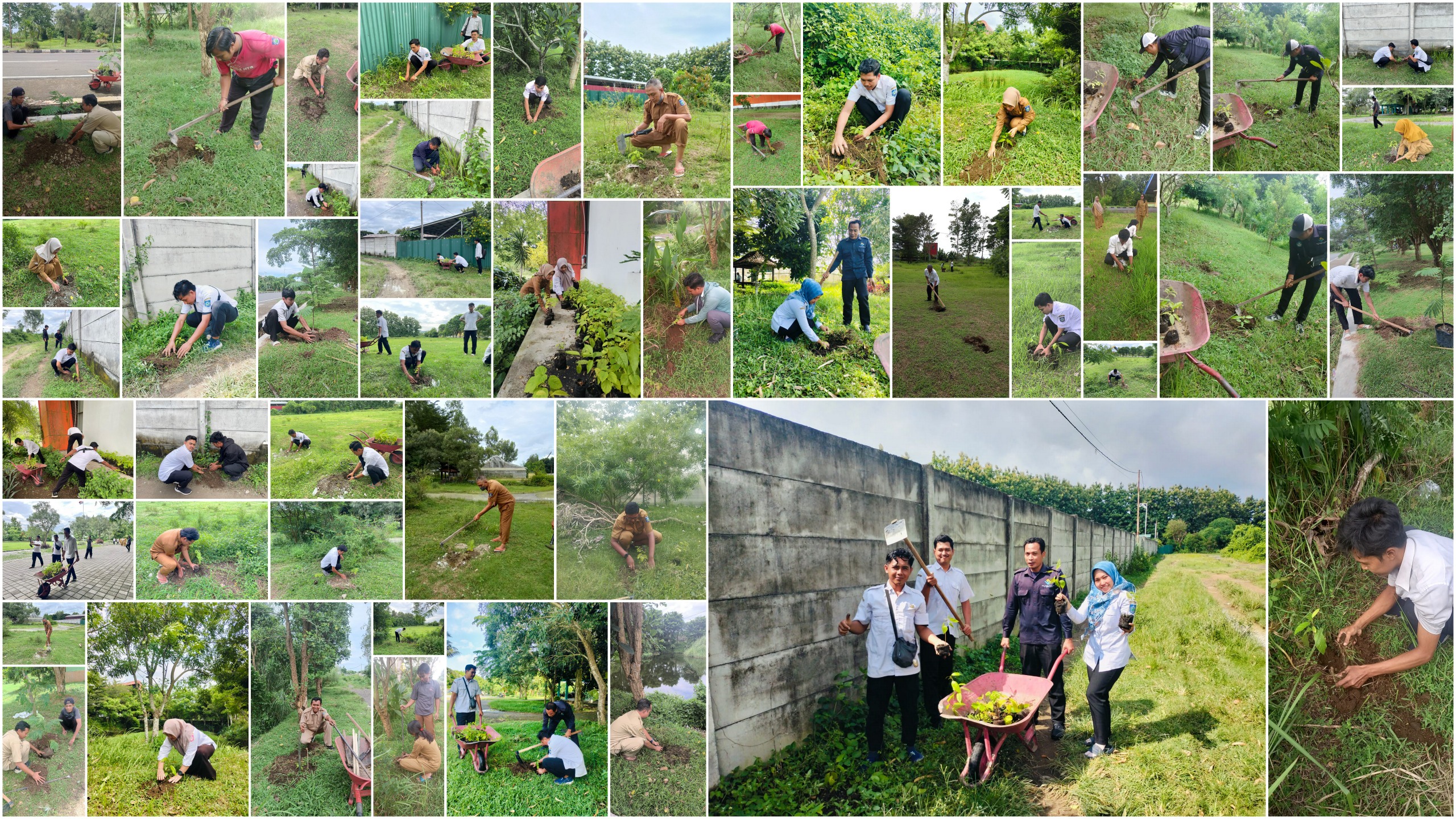BRIDA NTB Laksanakan Arahan Gubernur NTB melalui Gerakan Penanaman Pohon oleh PPPK Paruh Waktu