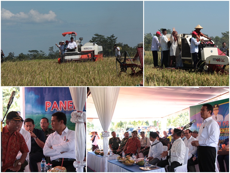 Menteri_Pertanian_Panen_dengan_Mekanisasi.jpg