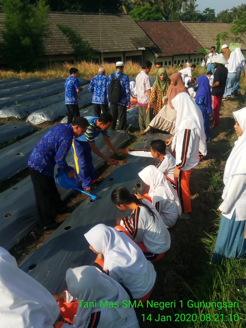 tani_mas_sma_1_gunungsari_14_januari_2019_(5).jpg