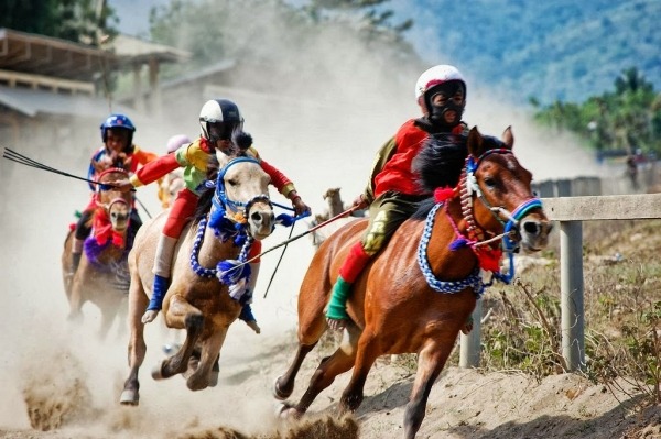 Maen Jaran The Sumbawa Traditional Horse Racing
