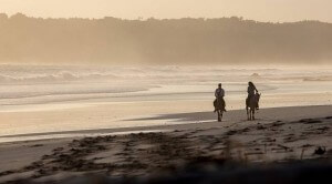 ntb-targetkan-dua-juta-turis-6sg2pyjOBw-300x166